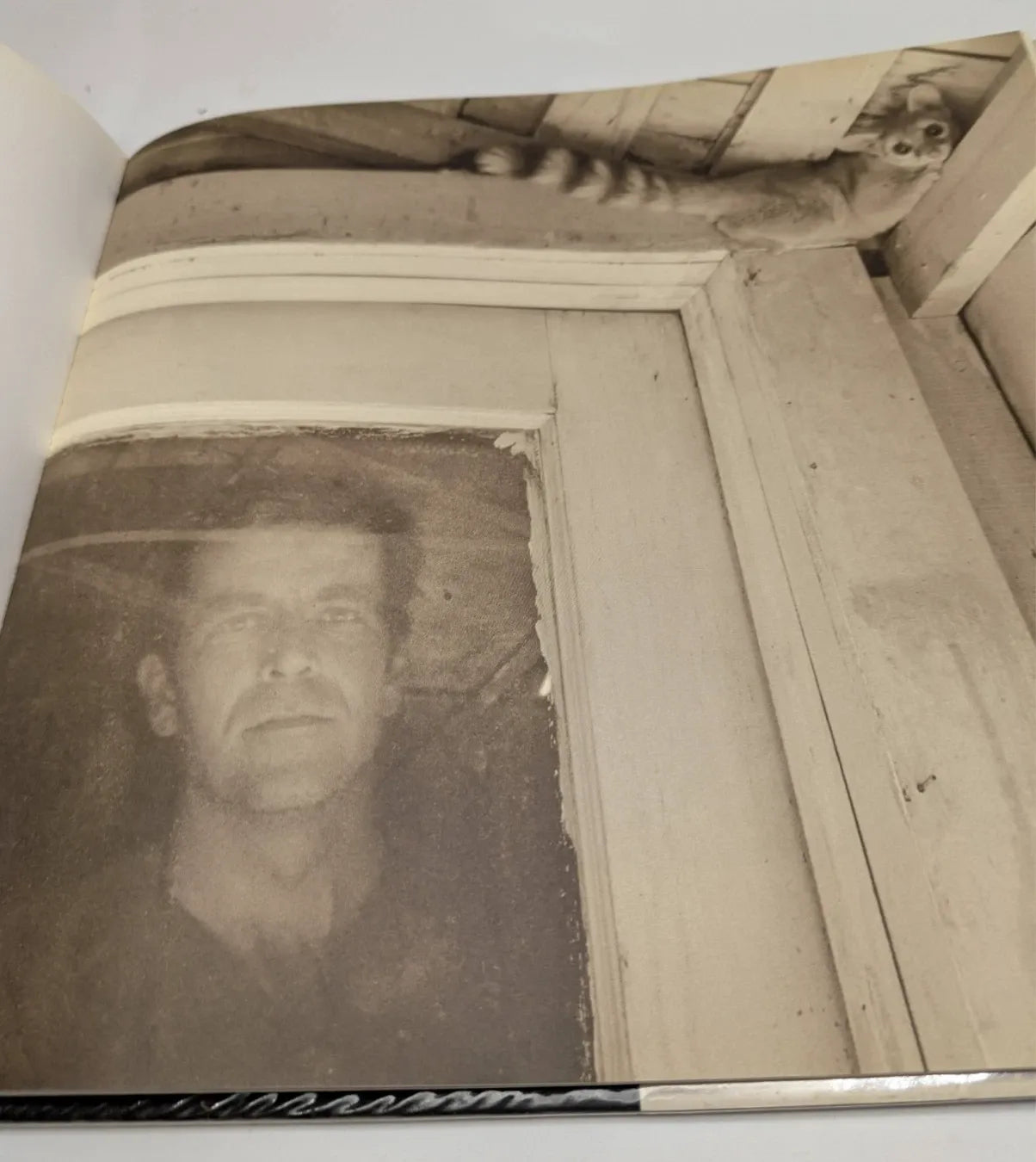 Big Bend Pictures- Travel Photography