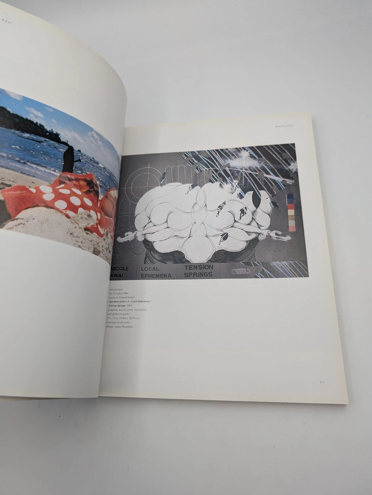 Infinite Island: Contemporary Caribbean Art, original copy photograph 9