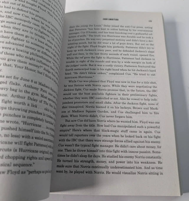 Iron Ambition, actual Like New paperback copy, photo 5 of 7