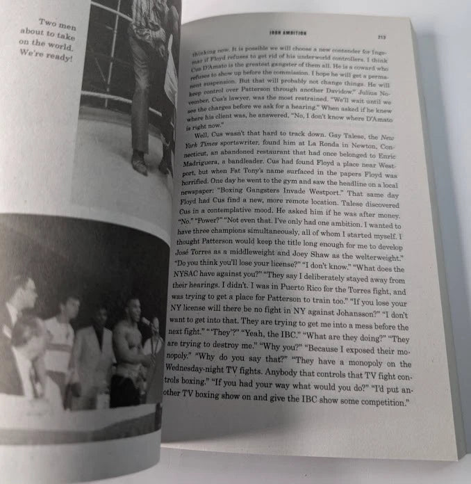Iron Ambition, actual Like New paperback copy, photo 6 of 7