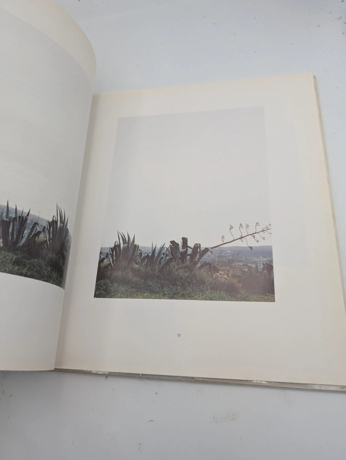 Landschaft by Axel Hütte, German edition, copy photograph 6 of 17