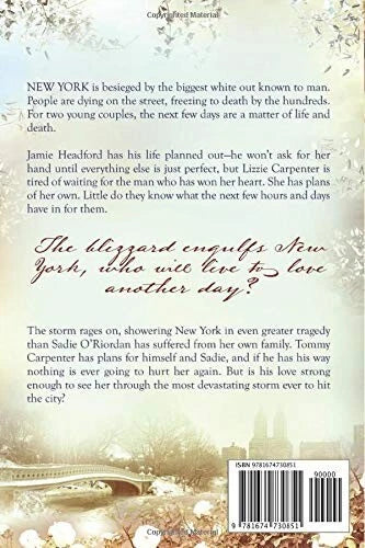 New York Storm: Clover Springs East, Book 2 by Rachel Wesson - back cover