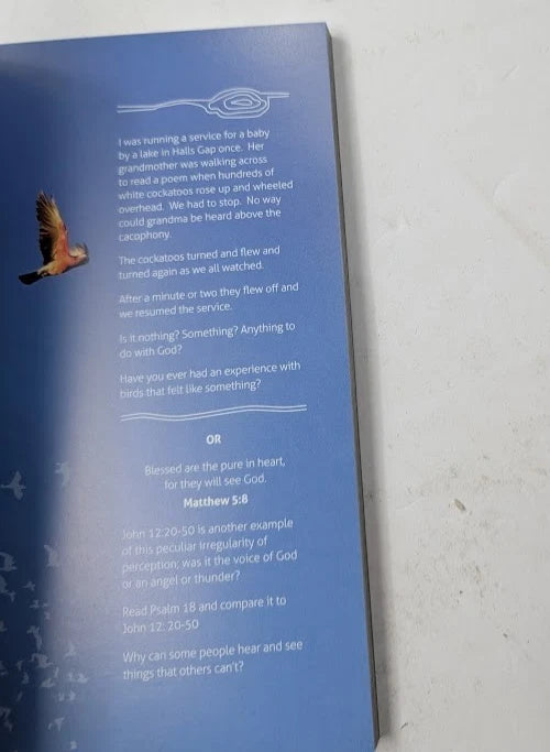 Songs from a Strange Land: An Australian Advent Calendar by Celia Kemp - copy photograph 7