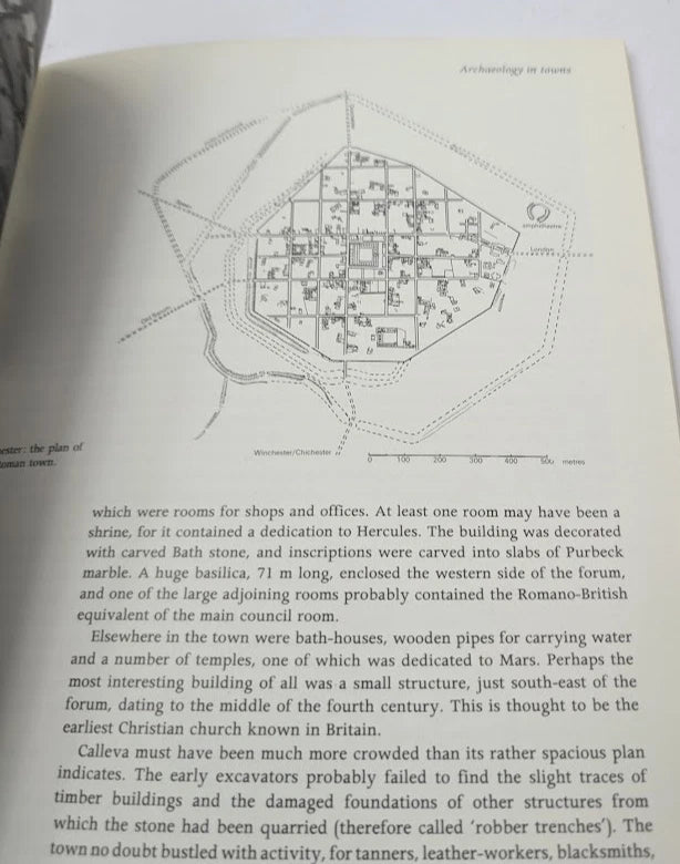 Introduction to Archaeology by David Miles - copy photograph 4