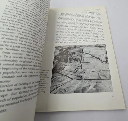 Introduction to Archaeology by David Miles - copy photograph 8