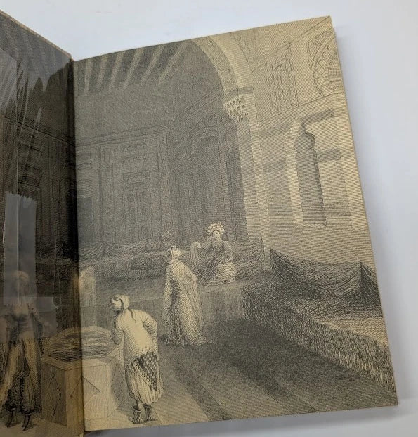 Lives of Shadows: An Illustrated Novel by Barbara Hodgson - copy photograph 3