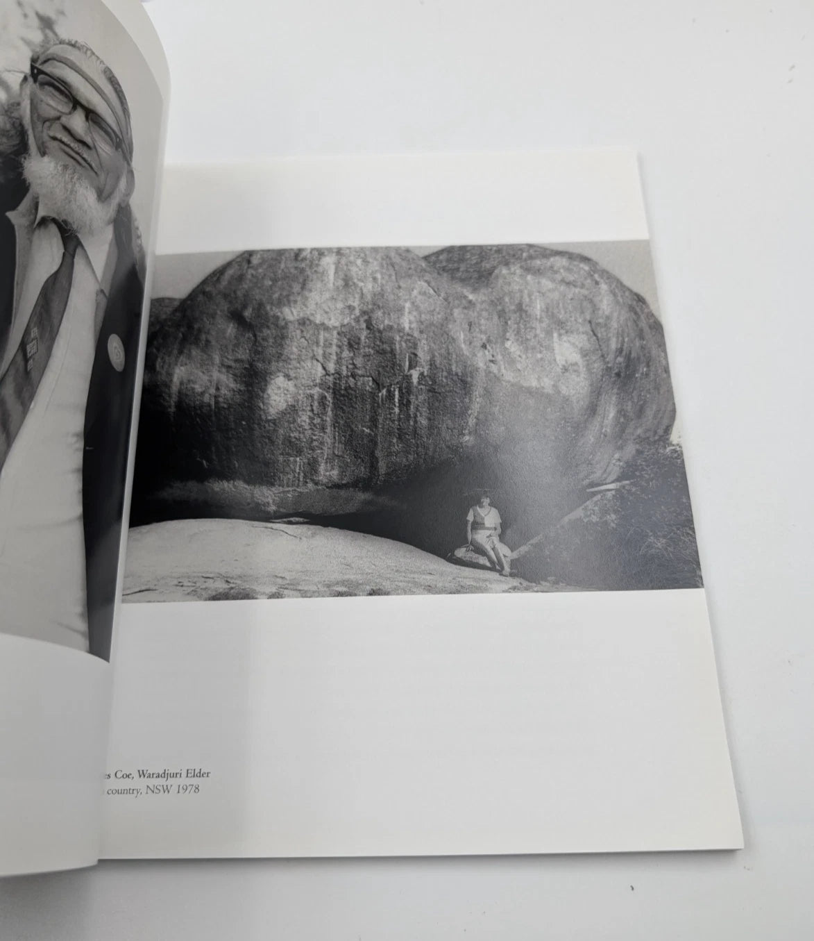 Proof: Portraits from the Movement 1978–2003 - image 6