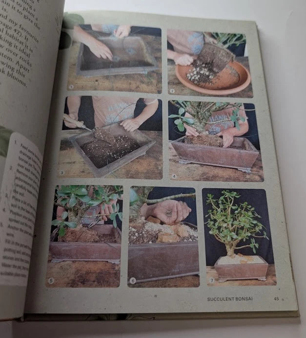 The Kew Gardener's Guide to Growing Cacti and Succulents: The Art and Science to Grow with Confidence (Volume 10) (Kew Experts, 10)
