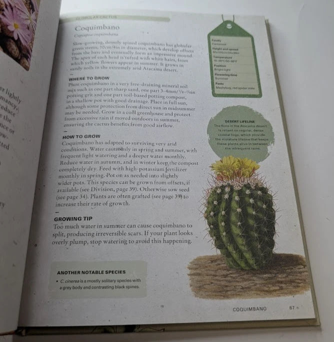 The Kew Gardener's Guide to Growing Cacti and Succulents: The Art and Science to Grow with Confidence (Volume 10) (Kew Experts, 10)