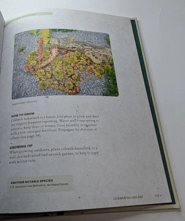 The Kew Gardener's Guide to Growing Cacti and Succulents: The Art and Science to Grow with Confidence (Volume 10) (Kew Experts, 10)