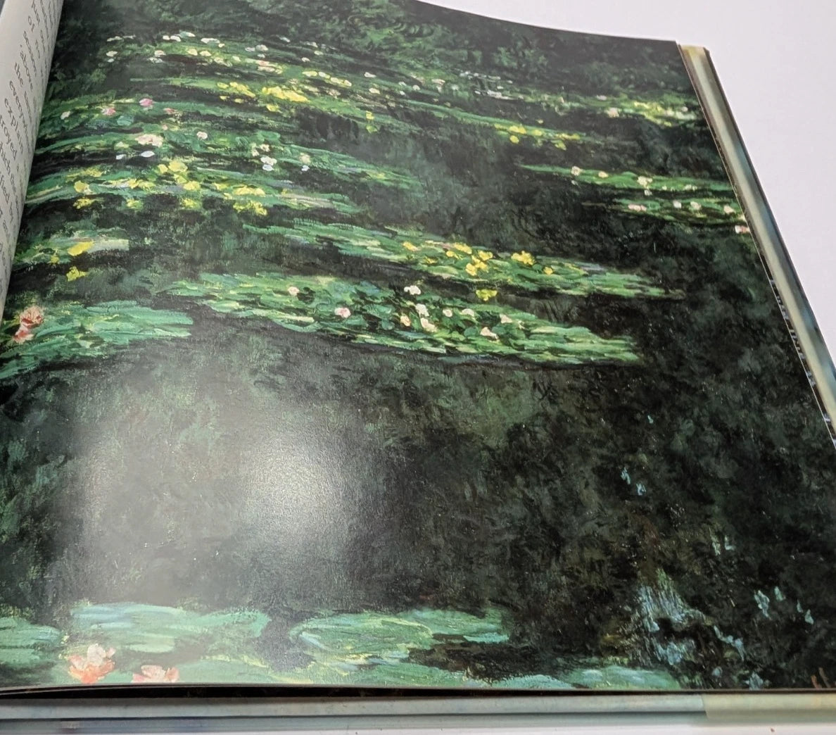 Monet's Water Lilies