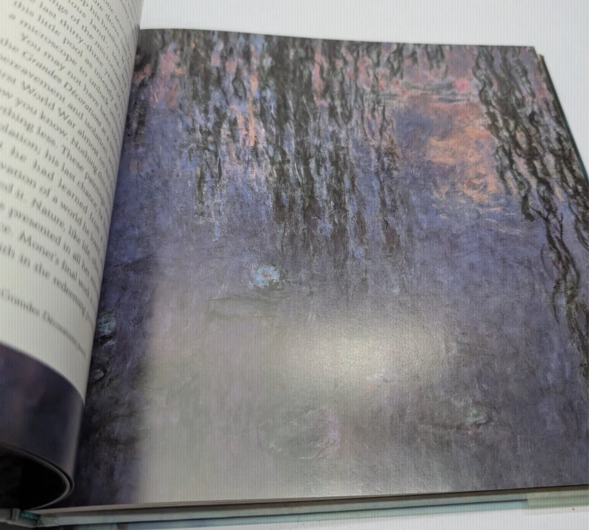 Monet's Water Lilies