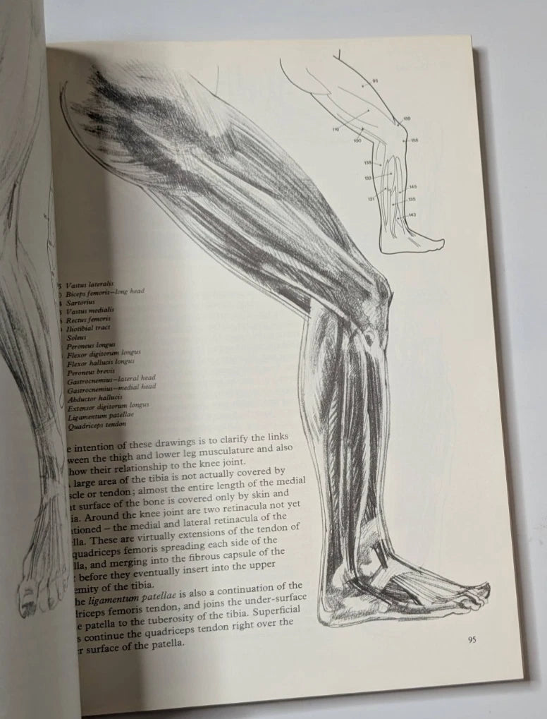 Figure Drawing and Anatomy for the Artist