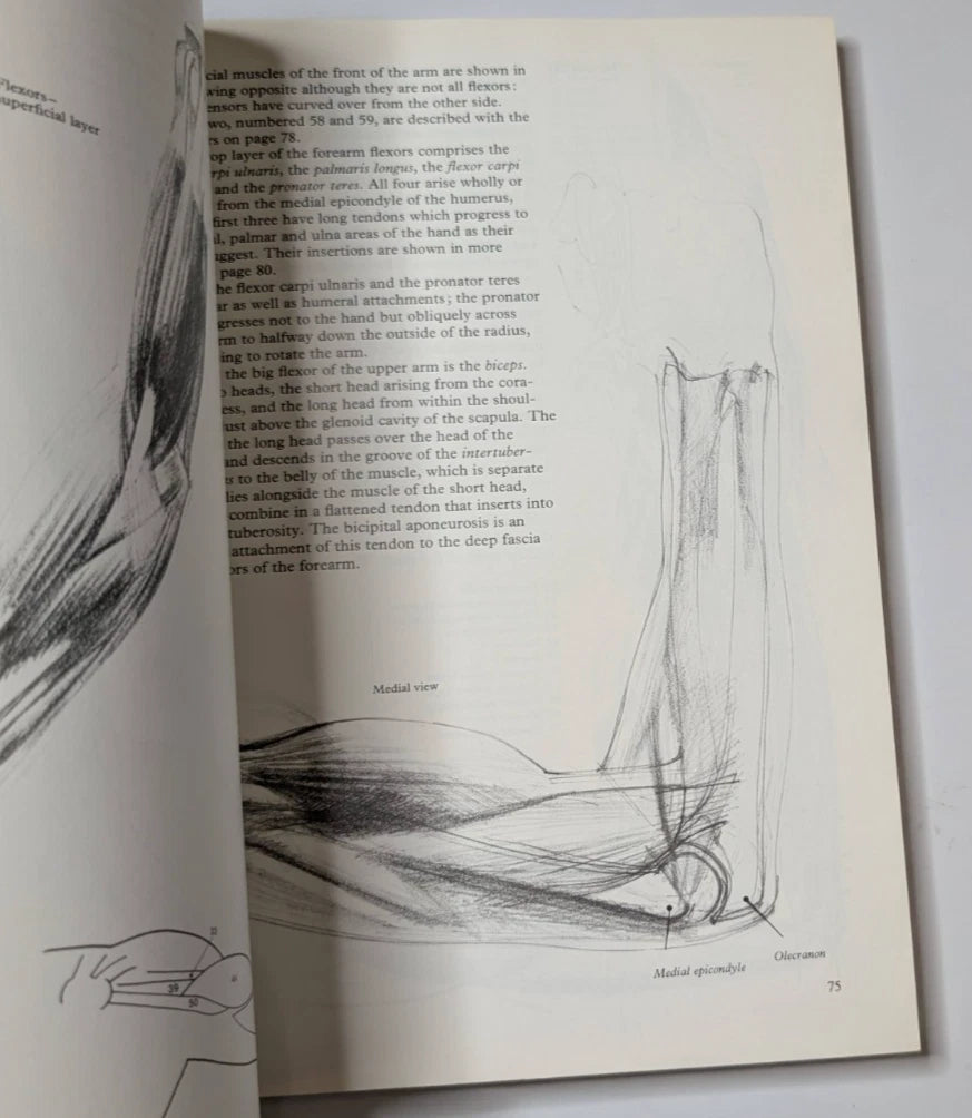 Figure Drawing and Anatomy for the Artist