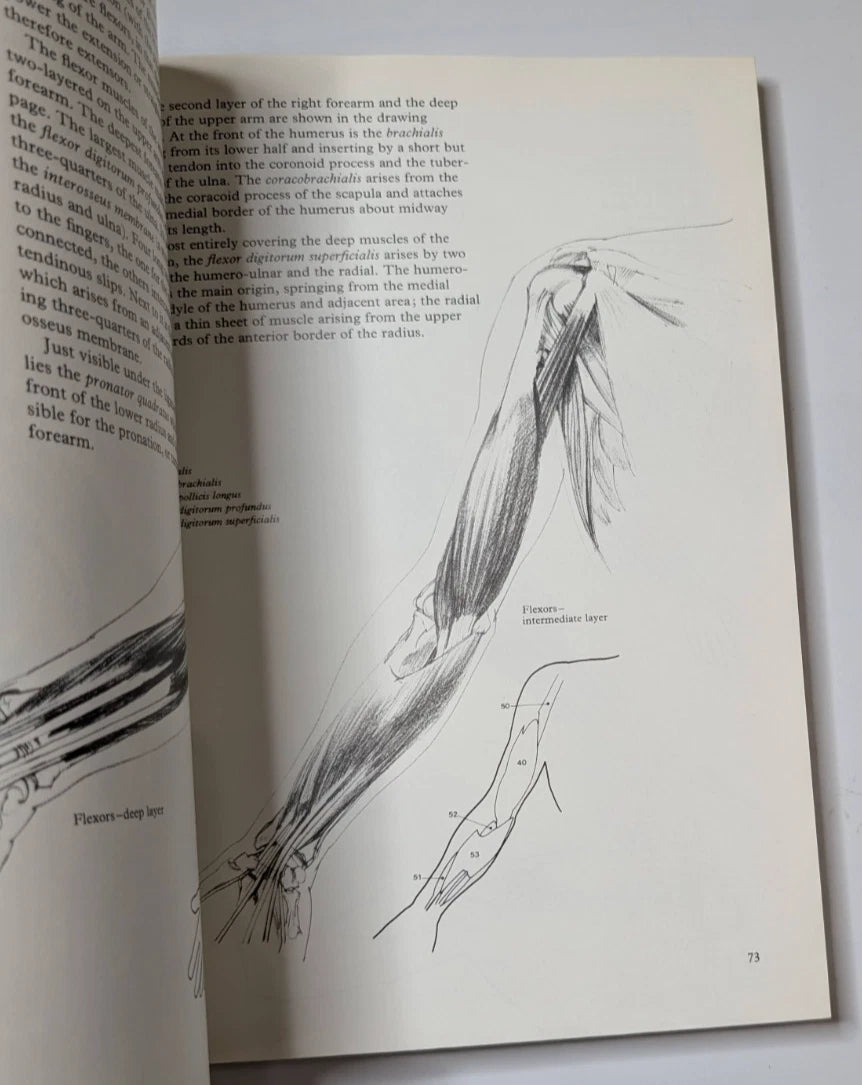 Figure Drawing and Anatomy for the Artist