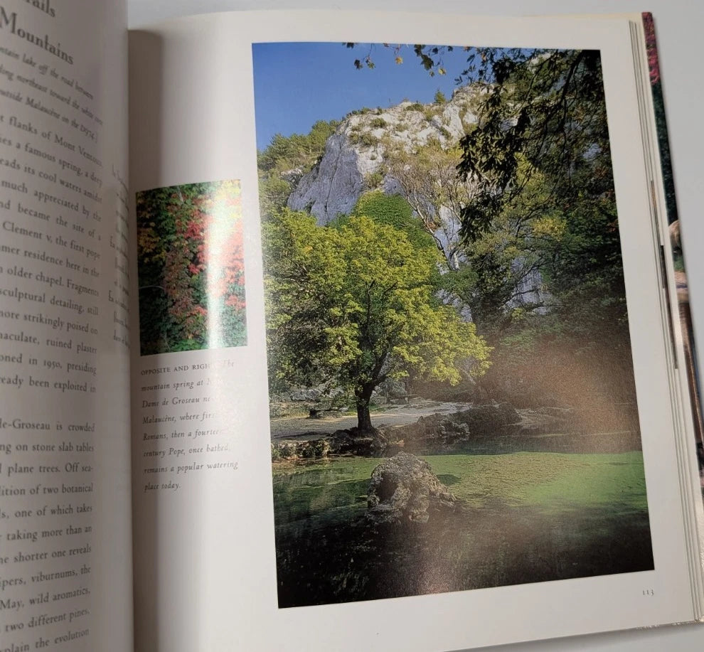 Provence: A Country Almanac