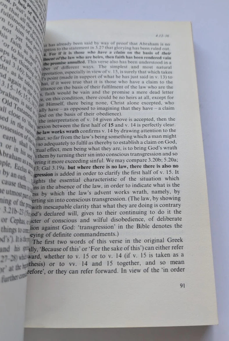 Romans: A Shorter Commentary