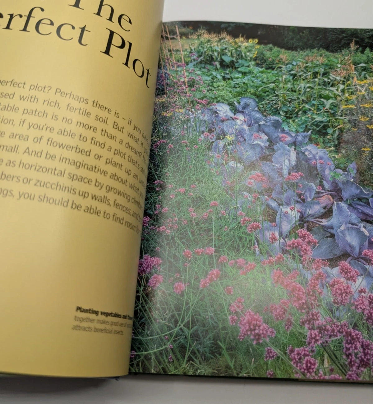 Grow Vegetables: Gardens, Courtyards, Verandahs, Balconies
