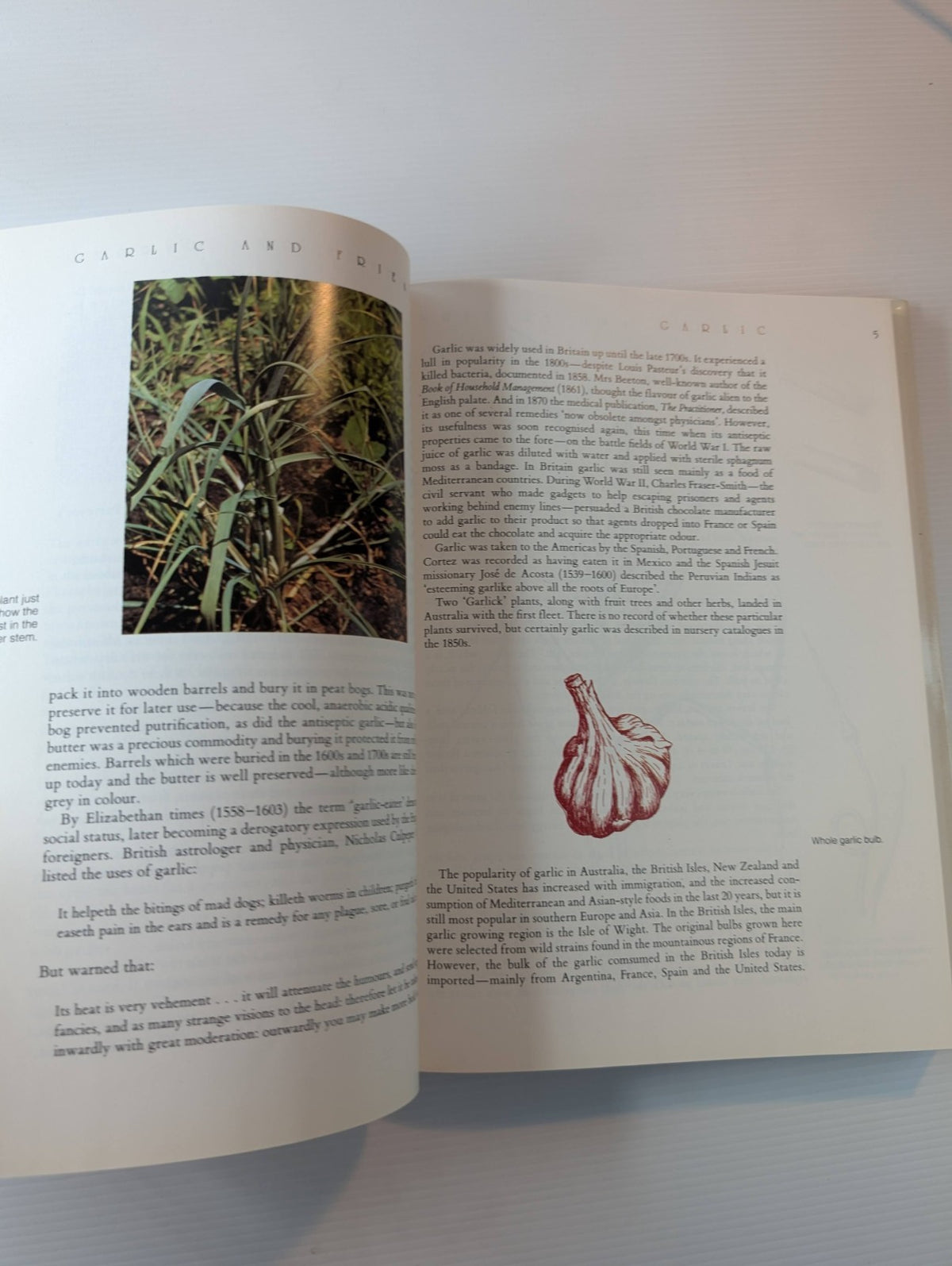Garlic and Friends Edible Alliums by Penny Woodward - book detail 7