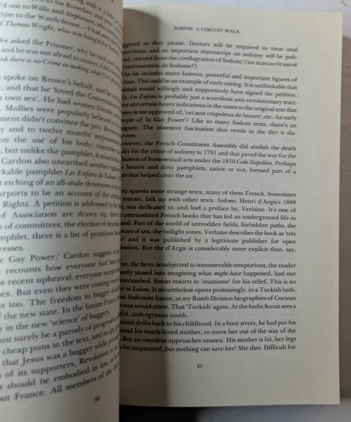 The Book of Sodom, copy photograph 6