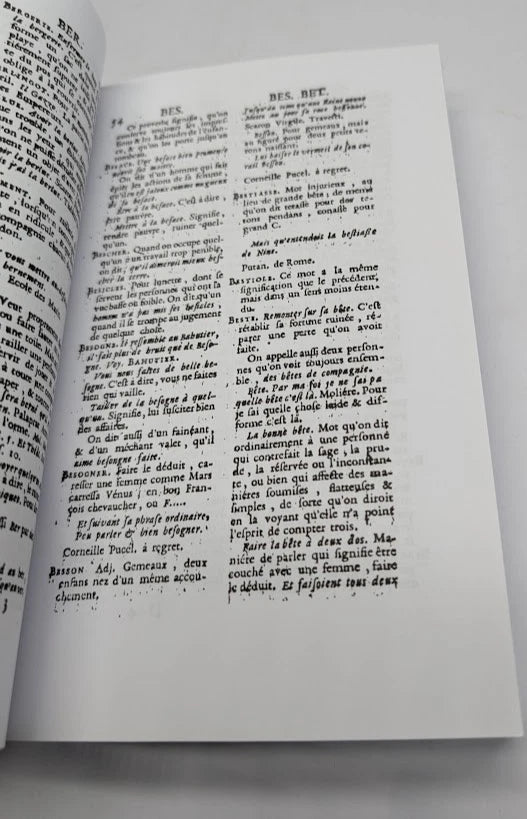 Dictionnaire Comique Satyrique Critique Burlesque Le Roux PB 2011 French 8