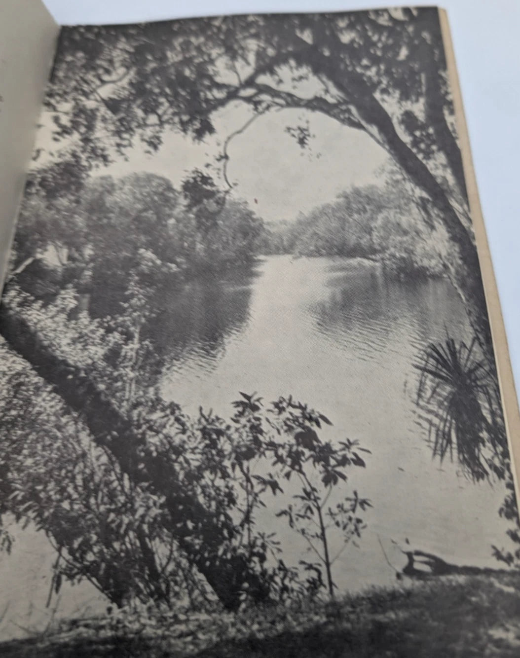 Our Fertile North by H. E. Holland, copy photograph 2