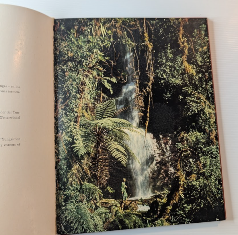 Now Up Now Down: Photographs of Bolivia by Hans Ertl - book detail 6