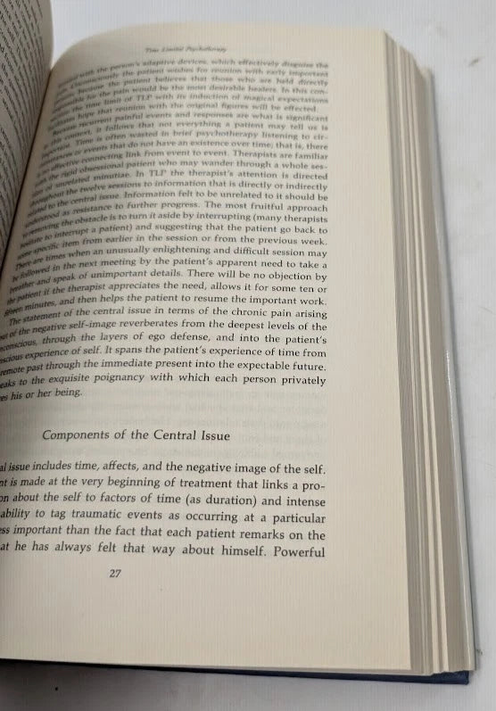 Handbook of Short-Term Dynamic Psychotherapy, actual copy photograph 4