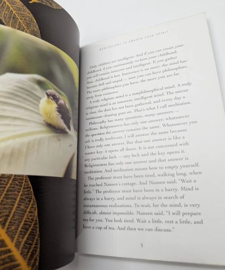 Art of Tea Osho HC 2001 Spirituality Mindfulness Philosophy Zen Inspiration