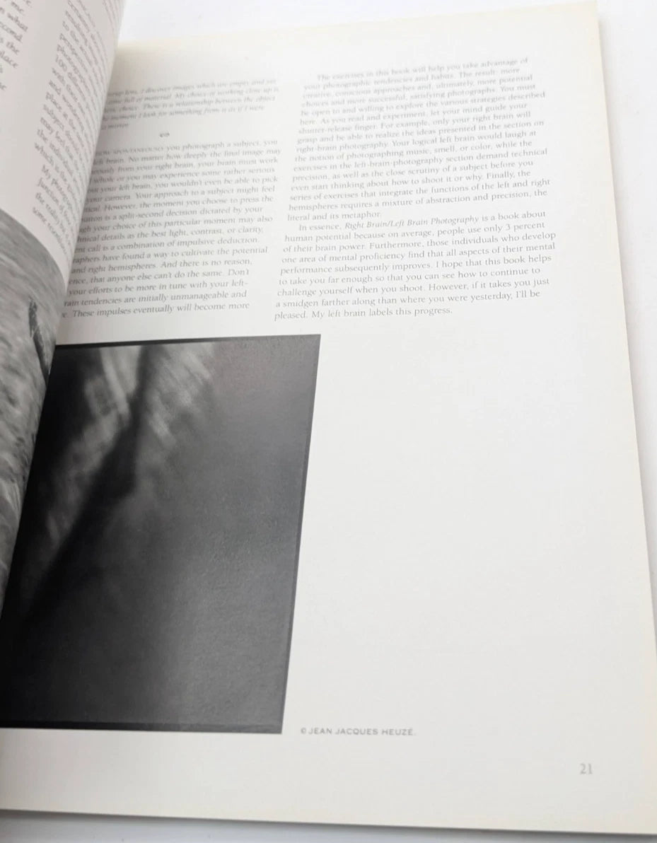 Right Brain Left Brain Photography by Kathryn Marx, copy photograph 4