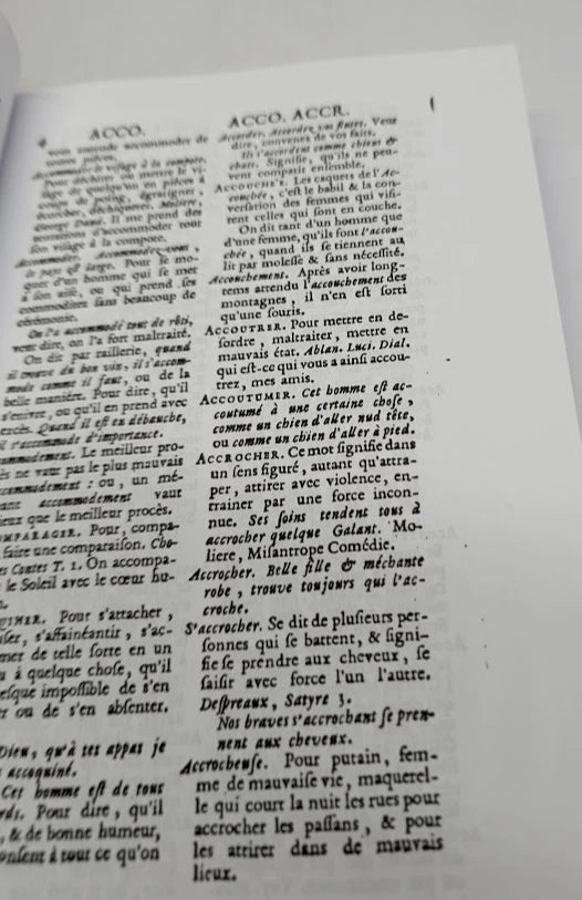 Dictionnaire Comique Satyrique Critique Burlesque Le Roux PB 2011 French 7