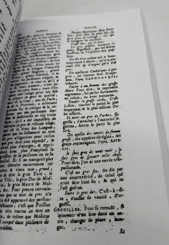 Dictionnaire Comique Satyrique Critique Burlesque Le Roux PB 2011 French 6