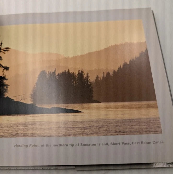 eBay listing 206162048234 photo 7