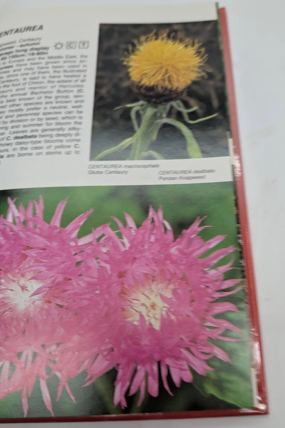 Perennials for All Seasons - Gardening Flowers