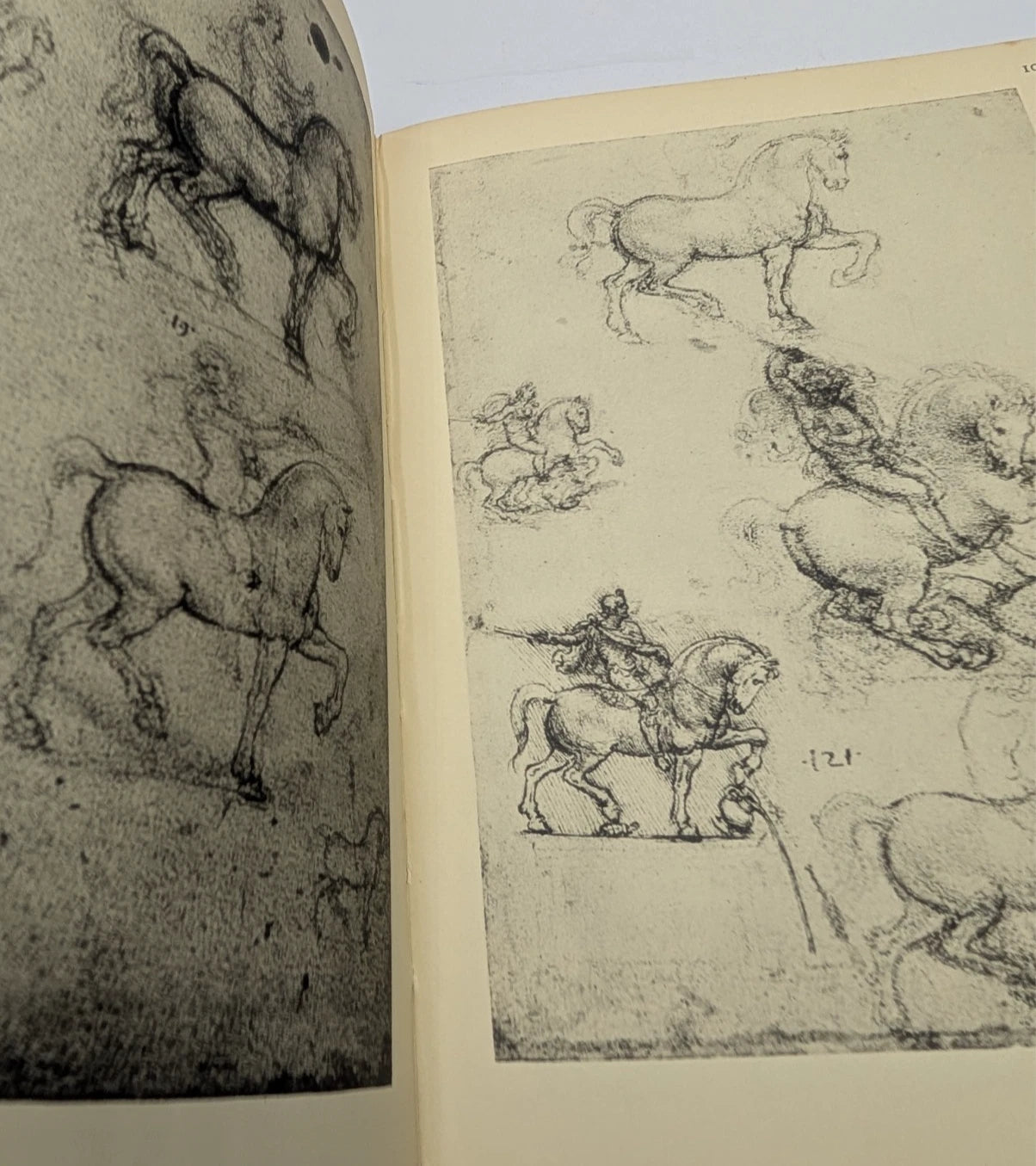The Drawings of Leonardo da Vinci A E Popham 1952 renaissance art Ebookbay