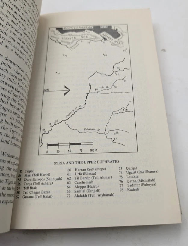 Ancient Mesopotamia Portrait of a Dead Civilization A Leo Oppenheim 1977 Revised