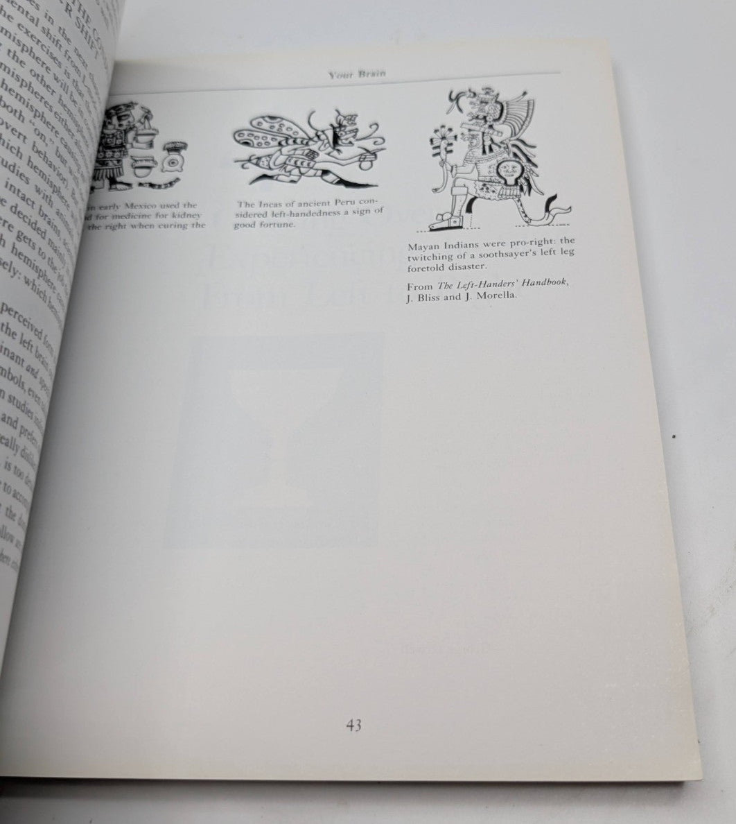 Drawing on the Right Side of the Brain by Betty Edwards – actual copy photo 9 of 10