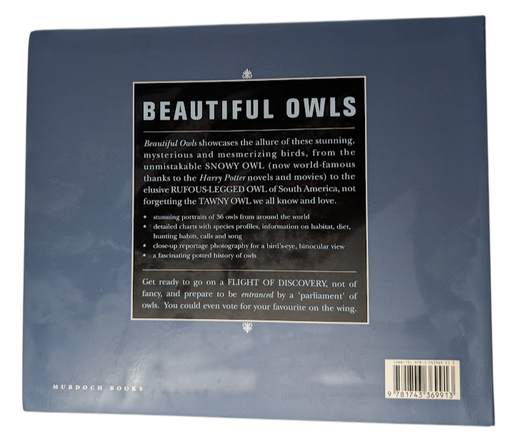 Beautiful Owls, image 2
