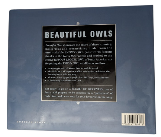 Beautiful Owls, image 2