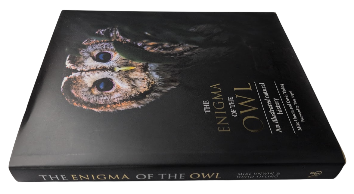 Enigma of the Owl, image 3