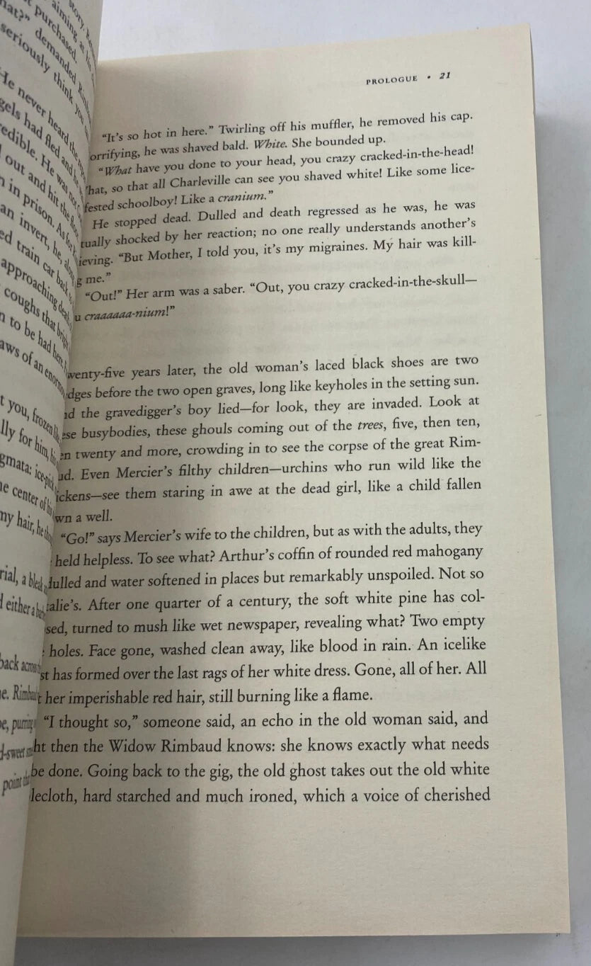 Disaster Was My God Bruce Duffy  -Biographical Fiction Poet Rimbaud