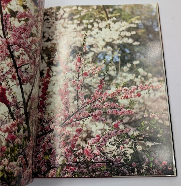 South Carolina by Clyde H. Smith SIGNED by State Governor - book detail 5