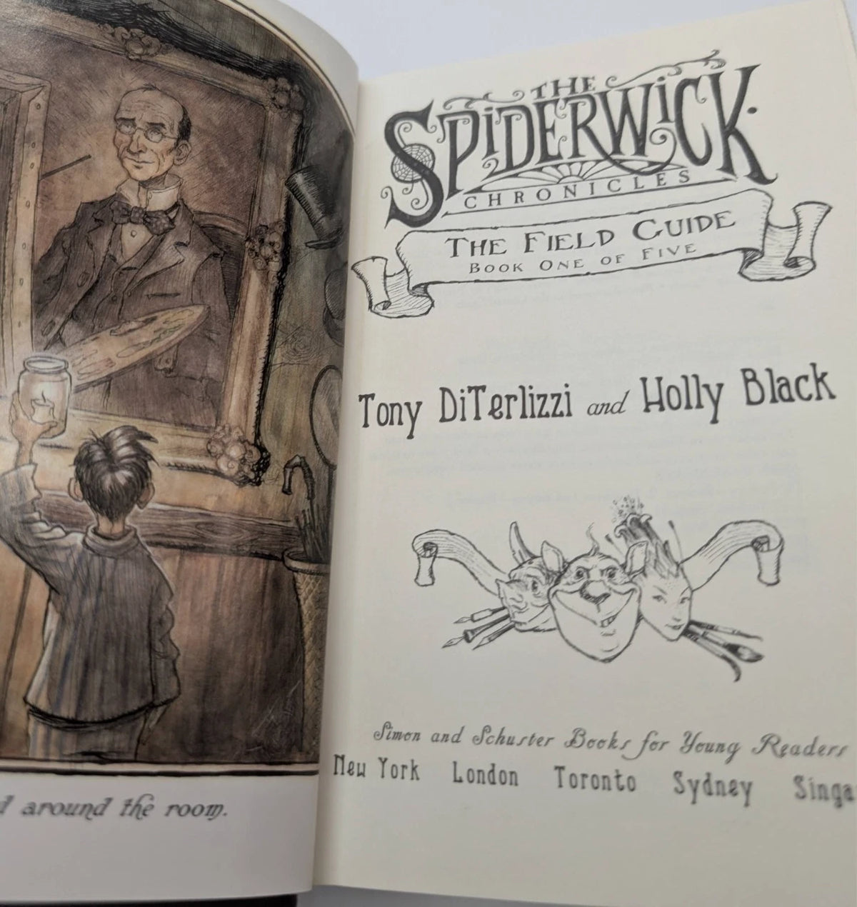 The Spiderwick Chronicles, 2007 hardcover, copy photograph 5