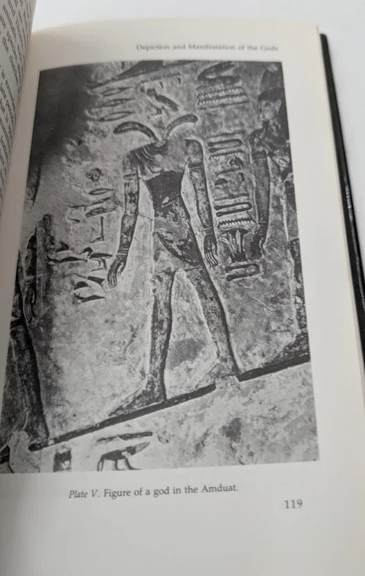 Conceptions of God in Ancient Egypt The One and the Many by Erik Hornung