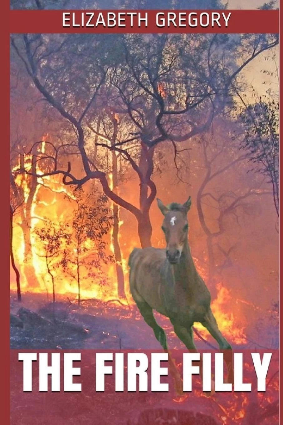 Fire Filly   Horse Fiction Equestrian Adventure Young Adult