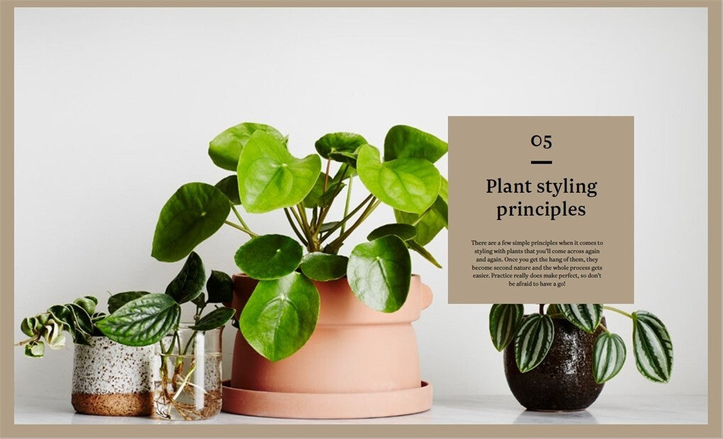 Plant Style: How to greenify your space - book detail 4