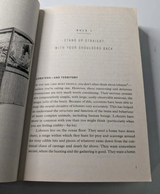 12 Rules For Life Jordan B Peterson