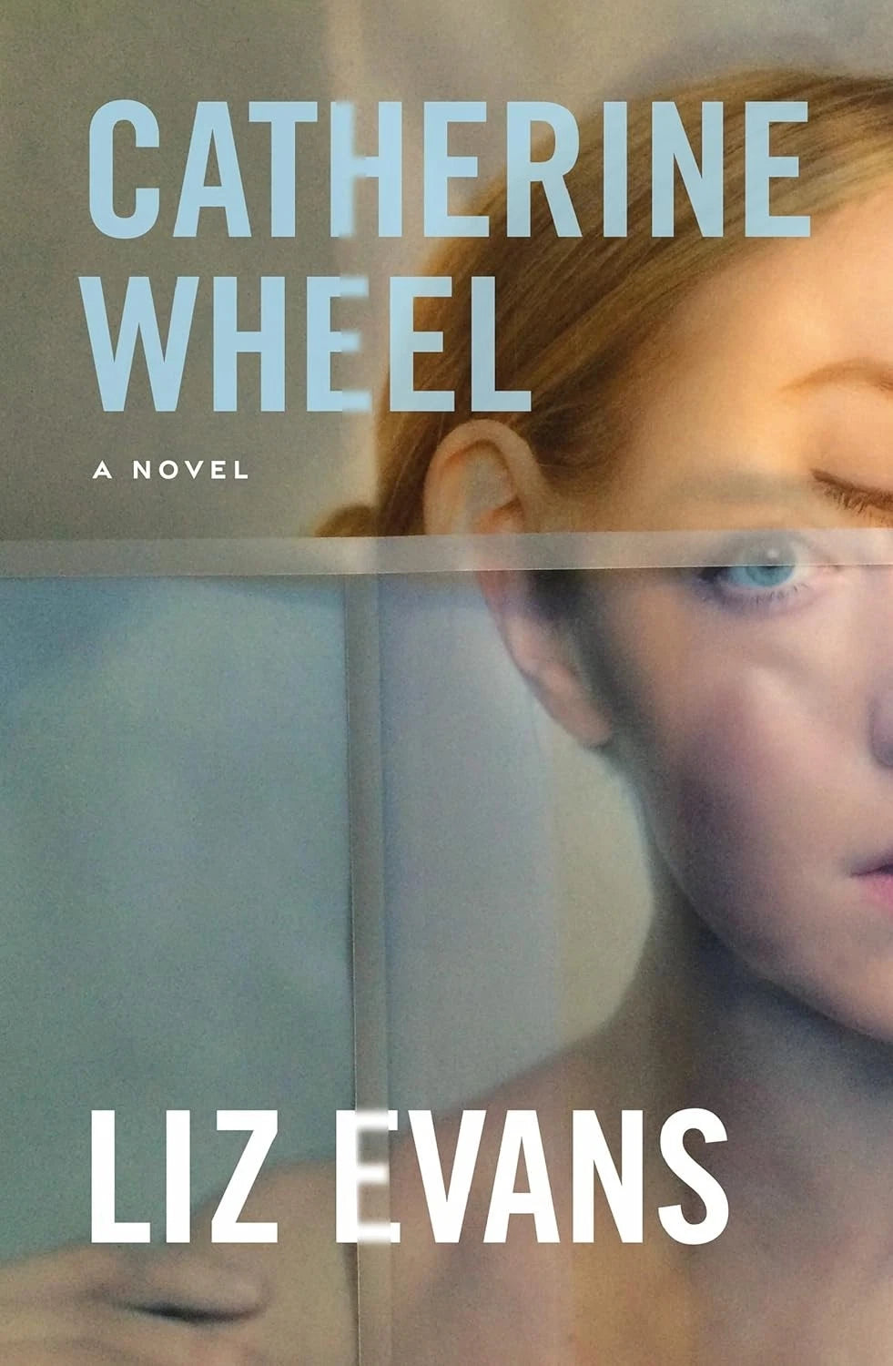 Catherine Wheel  by Liz Evans