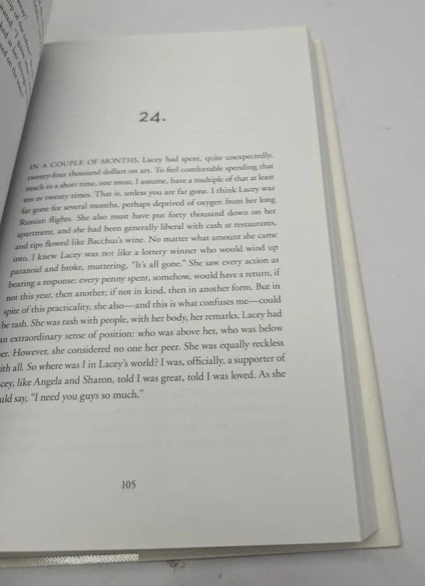 An Object of Beauty, 2010 hardcover, copy photograph 7