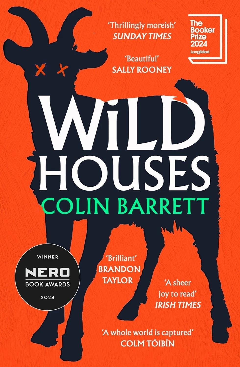 Wild Houses by Colin Barrett